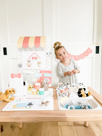 Pet Adoption Clinic Dramatic Play