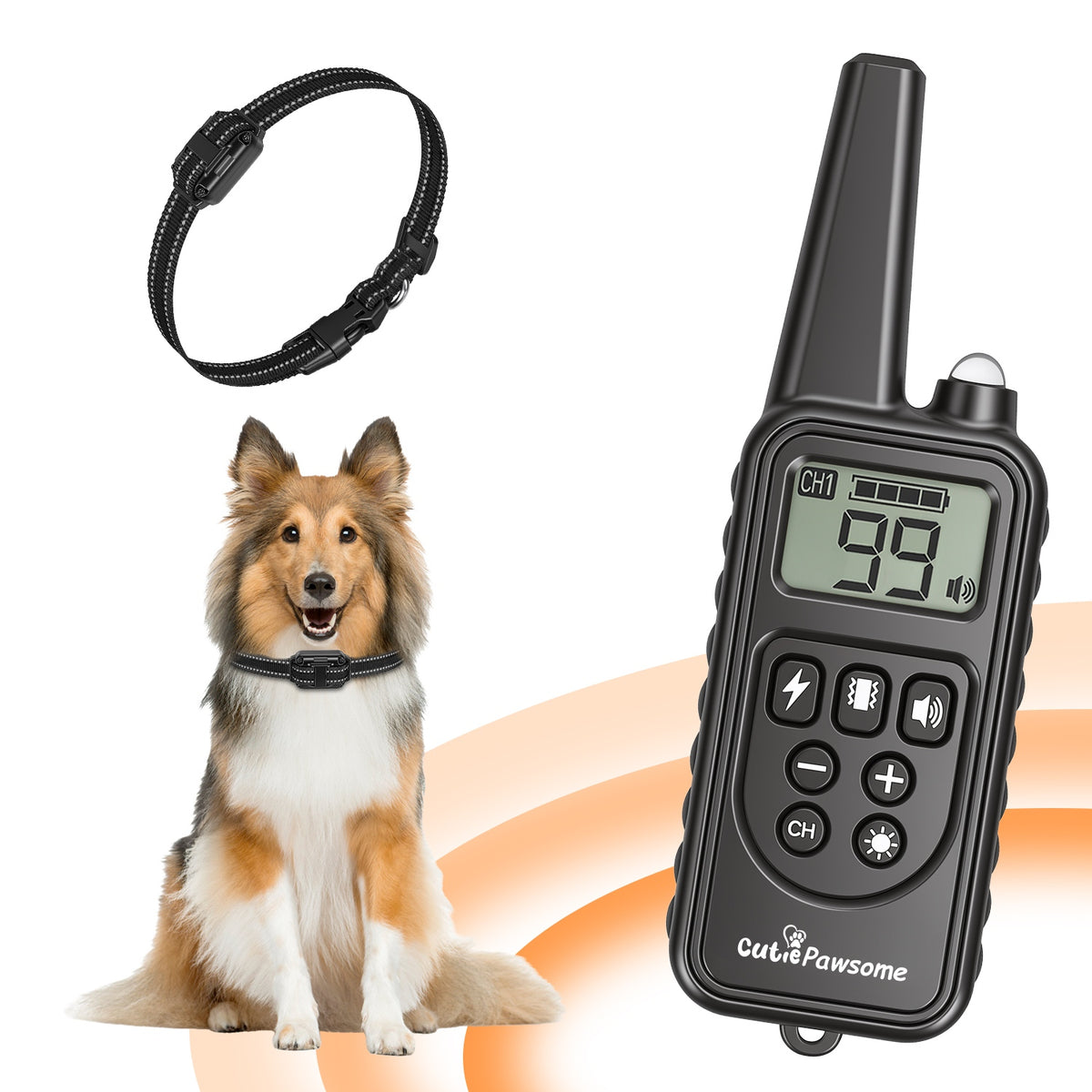 Dog Training Collar With Remote