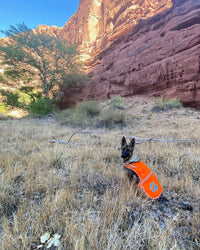 Reflective Dog Vest Hi-Vis L Size 35.75 in Chest x 26.75 in Neck Orange