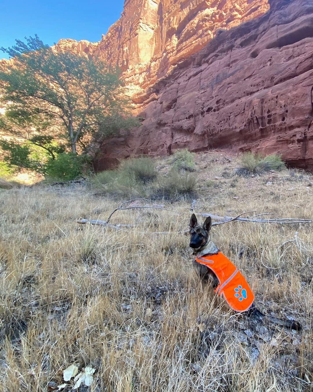 Reflective Dog Vest Hi-Vis L Size 35.75 in Chest x 26.75 in Neck Orange