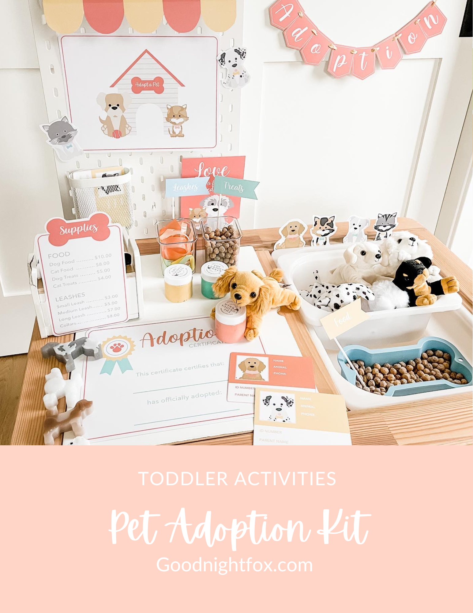 Pet Adoption Clinic Dramatic Play