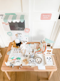 Vet Clinic Dramatic Play