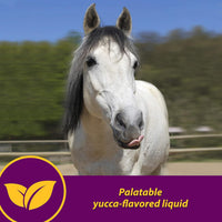 Horse Health Red Cell Vitamin-Iron-Mineral Supplement for Horses Gallon