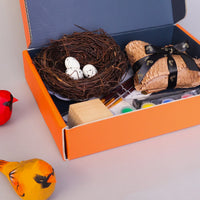 Hand-Carved Cardinal Bird DIY Painting Kit – Nature-Inspired Decor & Gifts - BIG FRENCHIES