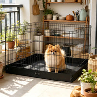 Dog House with Space-Saving for Outdoor
