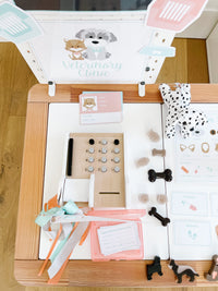 Vet Clinic Dramatic Play