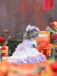 Dog Dress Feather Dream Princess Dress