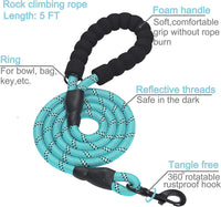 2 Packs Dog Training Collars for Small Medium Large Dogs - BIG FRENCHIES