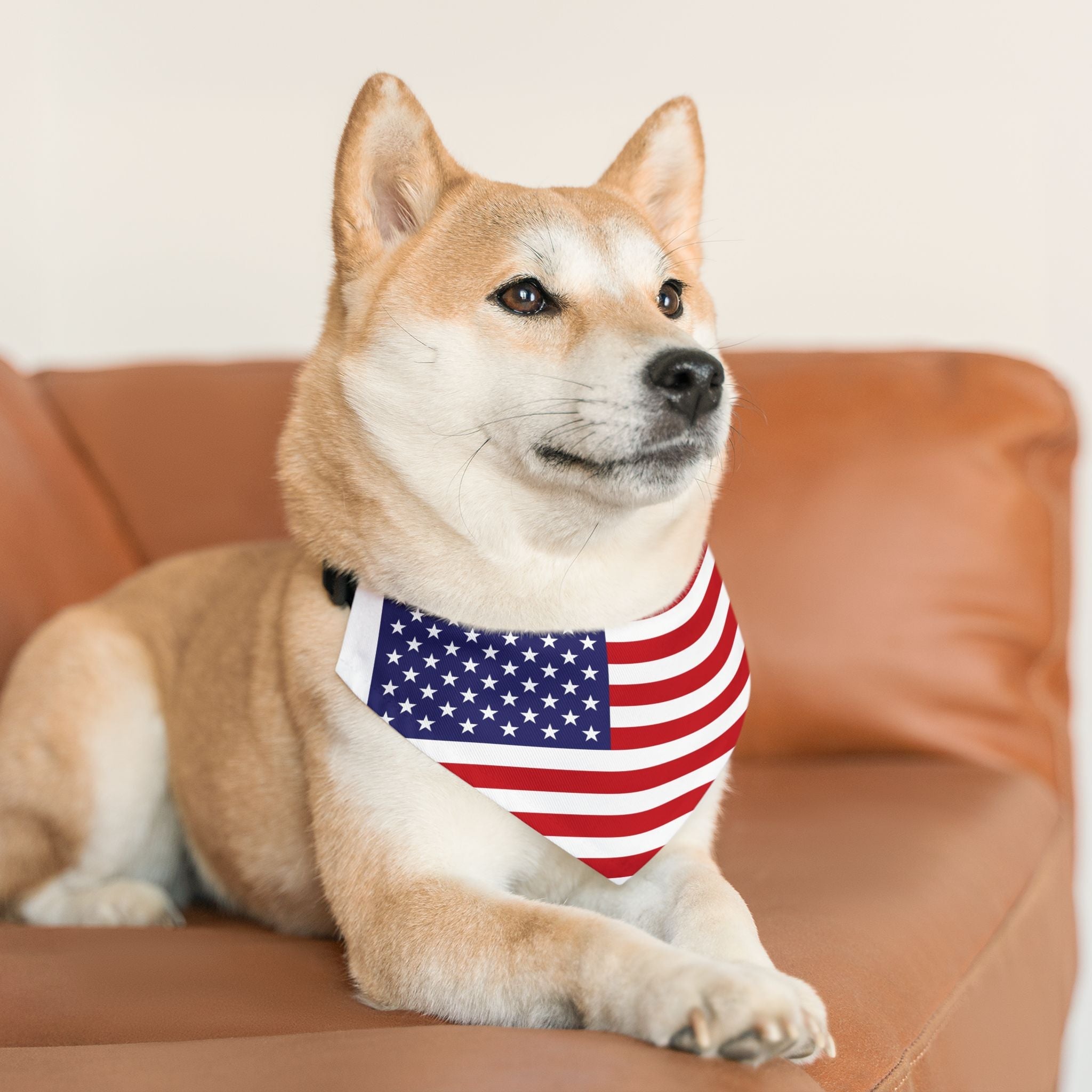 Patriotic American Flag Pet Bandana – Celebrate Veterans Day in Style - BIG FRENCHIES