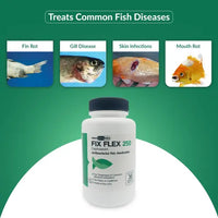 Fish Ceph 250mg Capsules for Aquarium Fish – 30 Count – Water Care Support