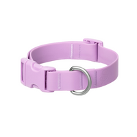 Waterproof Dog Collar - BIG FRENCHIES