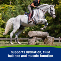 Farnam Apple Elite Electrolyte Powder for Horses Hydration Support Apple Flavor 5lb.