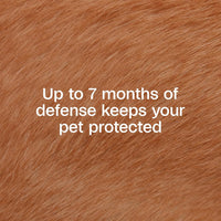 Adams Plus Flea Tick Collar Dogs 7-Month Large Dogs Puppies Kills Fleas Ticks