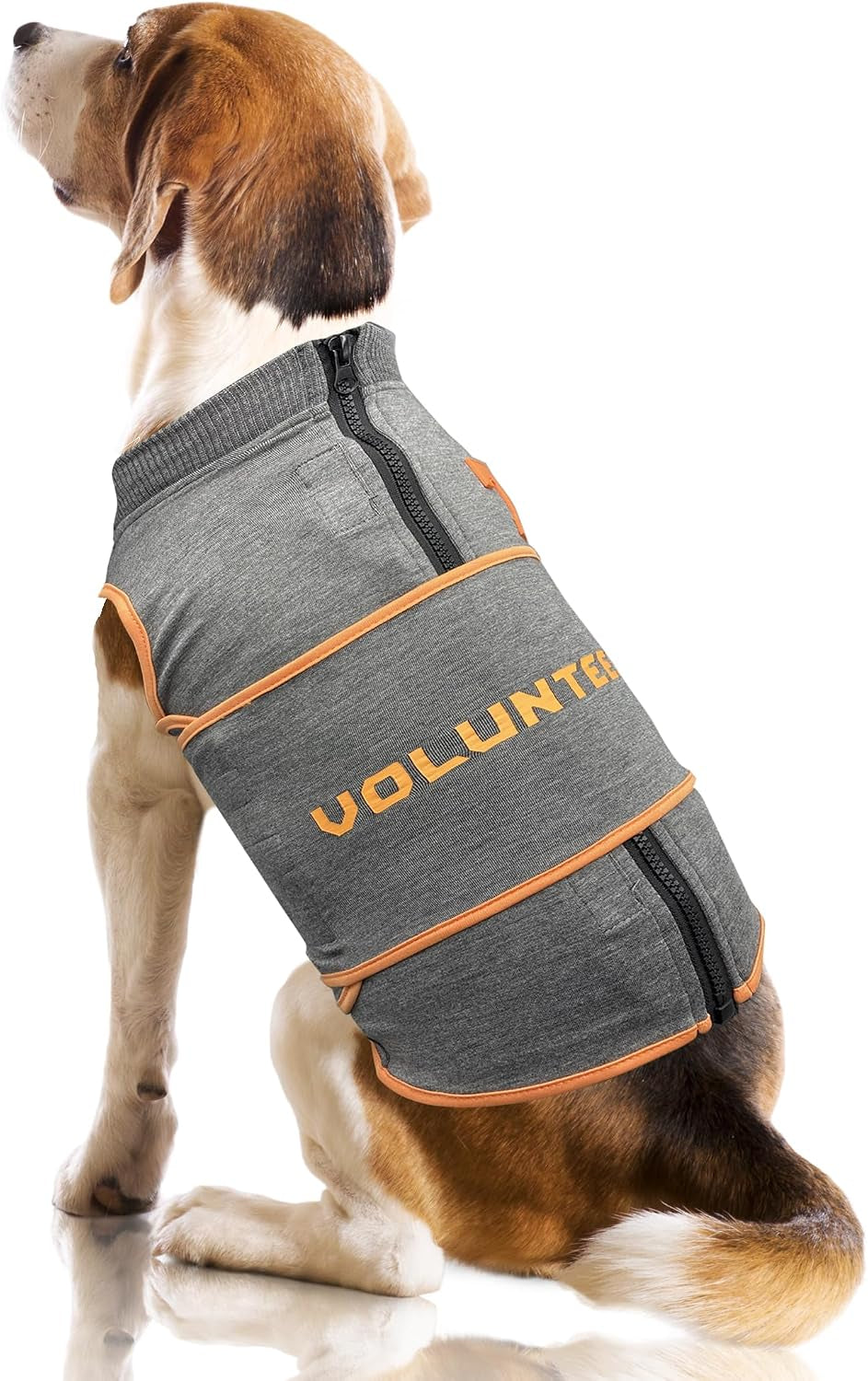 NCAA Calming Vest for Dogs & Cats – All Teams & Sizes
