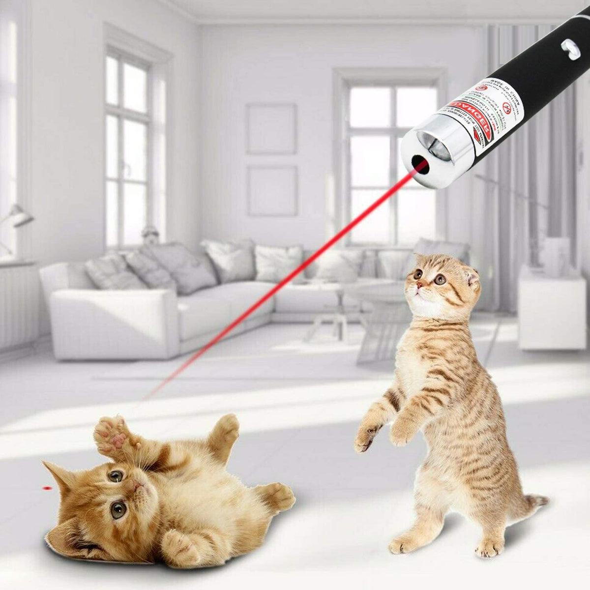 650nm Red Laser Pointer Pen Light Visible Single Beam AAA Lazer Torch 10PCS 9900 Miles Mini Small Teaching Pen Light Pet