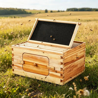 Bee Hive for Outdoor