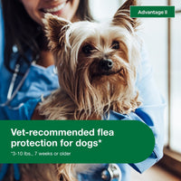 Vet-Recommended Flea Prevention for Small Dogs 3-10 Lbs, 6-Monthly Treatments - BIG FRENCHIES