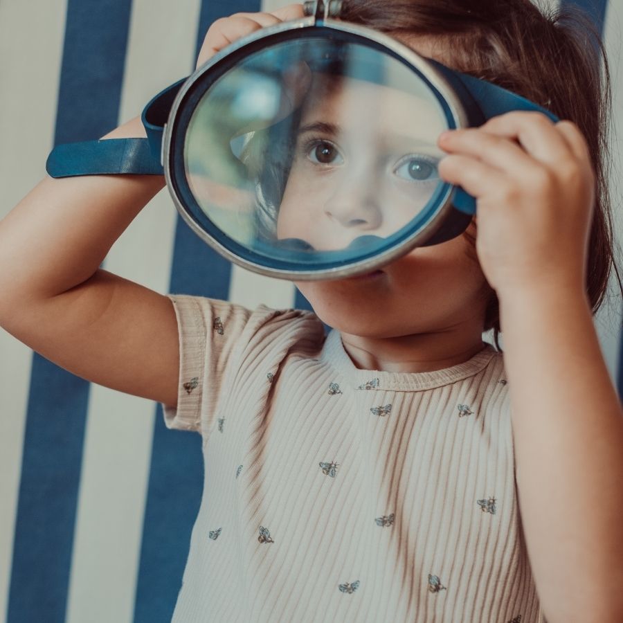 The Printed Bib - Bee