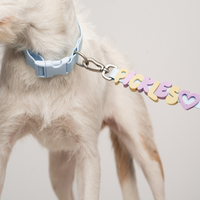 Waterproof Dog Collar - BIG FRENCHIES