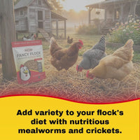 Durvet Fancy Flock Mealworm & Cricket Bird Treats High Protein Chicken Treats 16 oz.