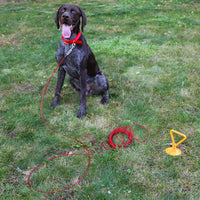 Boss Pet Tie-Out Cable for Large Dogs Up to 60lb 30ft Twin Swivel w/ Spring