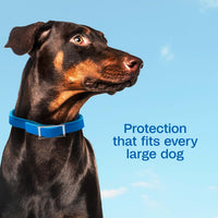 Adams Plus Flea Tick Collar Dogs 7-Month Large Dogs Puppies Kills Fleas Ticks