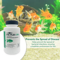 Fish Ceph 250mg Capsules for Aquarium Fish – 30 Count – Water Care Support