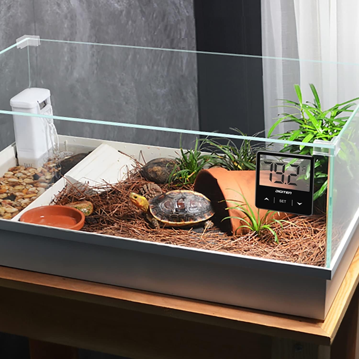 Digital Aquarium Thermometer - BIG FRENCHIES