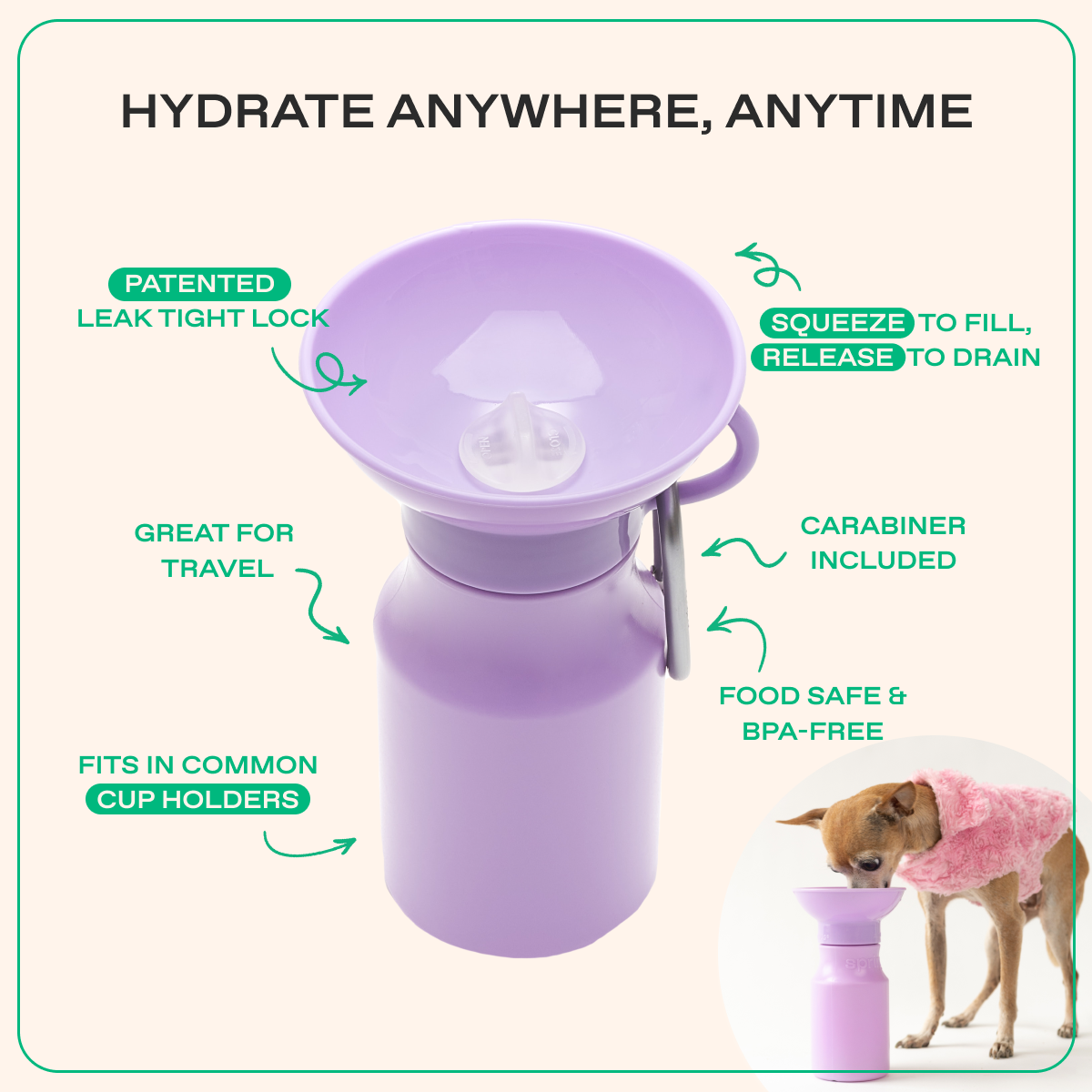 15oz Original Dog Travel Water Bottle - BIG FRENCHIES