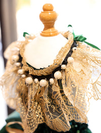 Dog Dress Green Velvet Emerald Pearl