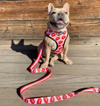Luxury Red Lips Breathable Mesh Harness Chest Back + Traction - BIG FRENCHIES