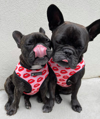 Luxury Red Lips Breathable Mesh Harness Chest Back + Traction - BIG FRENCHIES