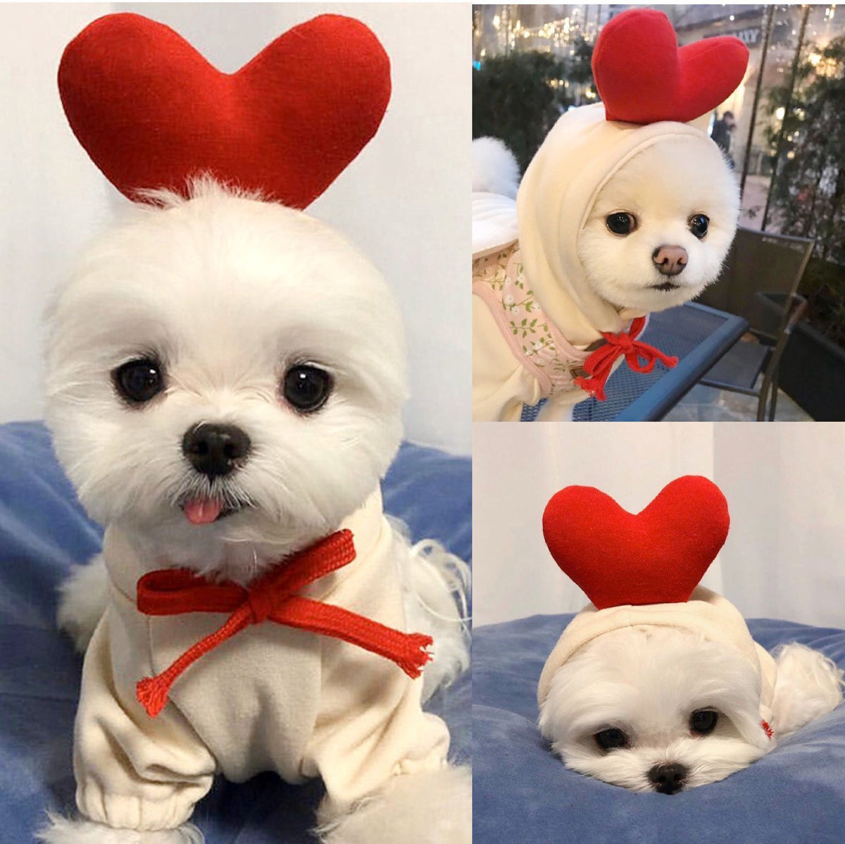 Cute Fruit Dog Clothes For Small Dogs Hoodies Winter Warm Fleece Pet Clothing Puppy Cat Costume Coat For French Chihuahu