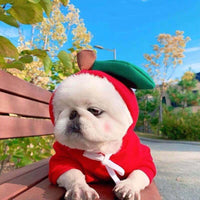 Cute Fruit Dog Clothes For Small Dogs Hoodies Winter Warm Fleece Pet Clothing Puppy Cat Costume Coat For French Chihuahu
