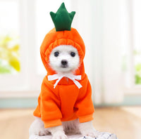 Cute Fruit Dog Clothes For Small Dogs Hoodies Winter Warm Fleece Pet Clothing Puppy Cat Costume Coat For French Chihuahu