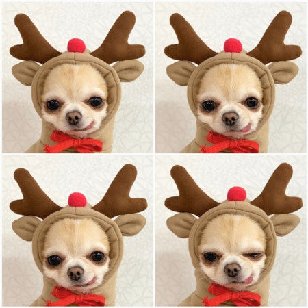 Cute Fruit Dog Clothes For Small Dogs Hoodies Winter Warm Fleece Pet Clothing Puppy Cat Costume Coat For French Chihuahu