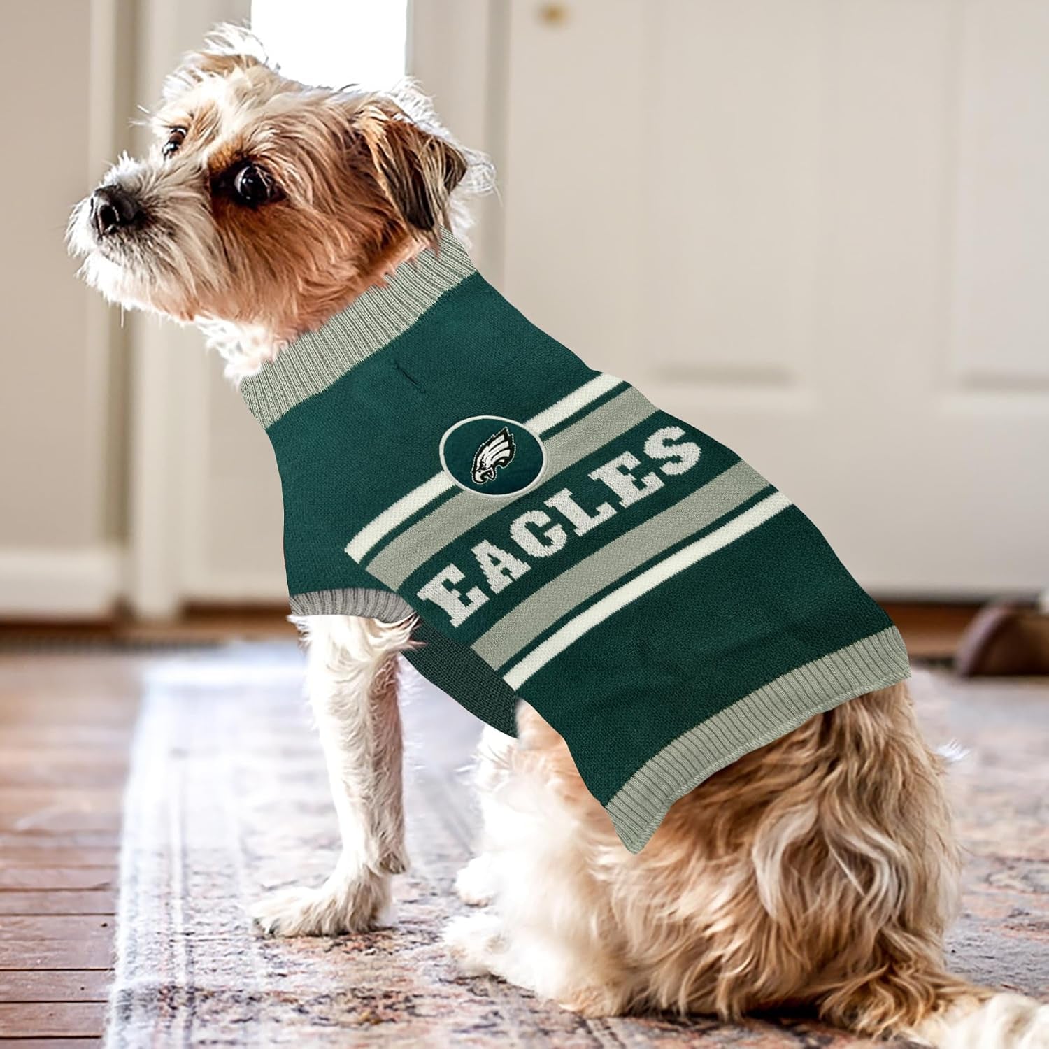 Official NFL Dog Sweater – All Teams & Sizes