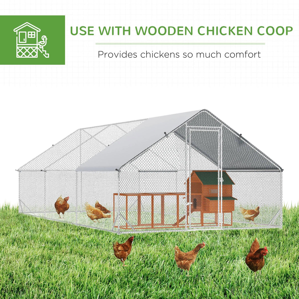 Chicken Coop