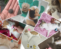 Pet Hair Removal Comb