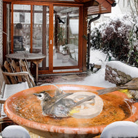 70W Bird Bath Heater For Outdoors Winter Heated Bird Bath Deicer Waterproof Aluminum Alloy Water Heater With Thermostat 