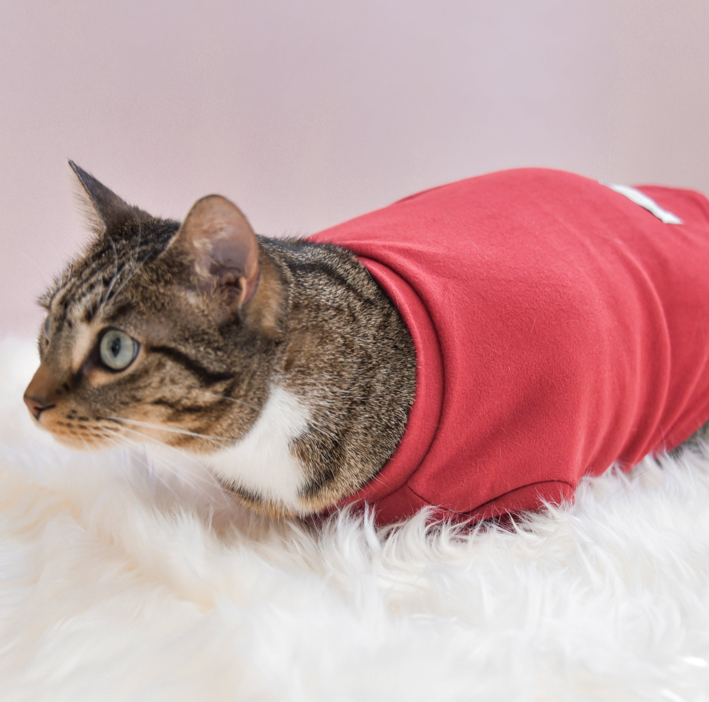 “Spoiled” Mock Neck Shirt - Lucky in Love