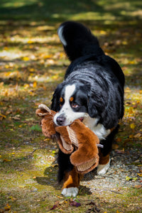 Maple Moose X-Brace™ Durable Plush Dog Toy - BIG FRENCHIES