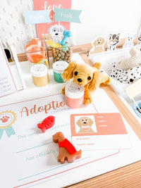 Pet Adoption Clinic Dramatic Play