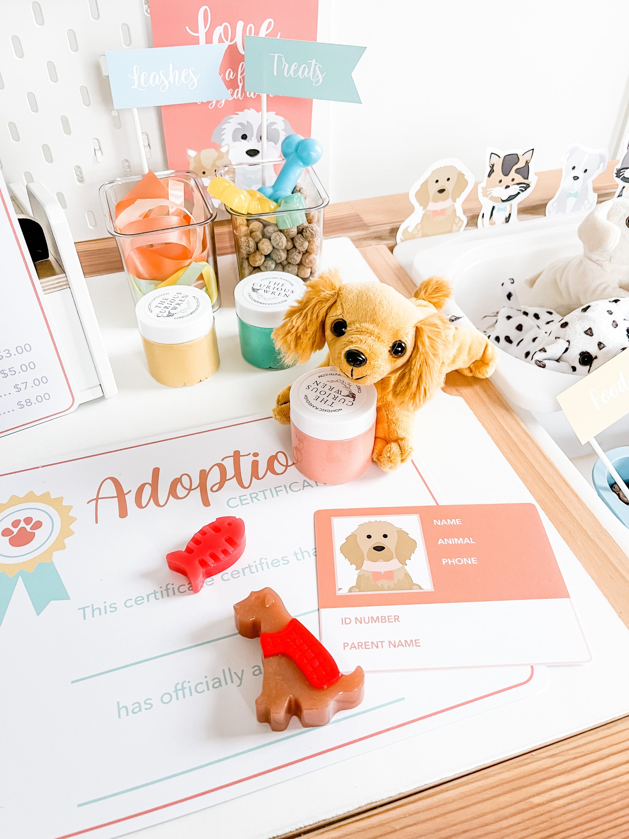 Pet Adoption Clinic Dramatic Play