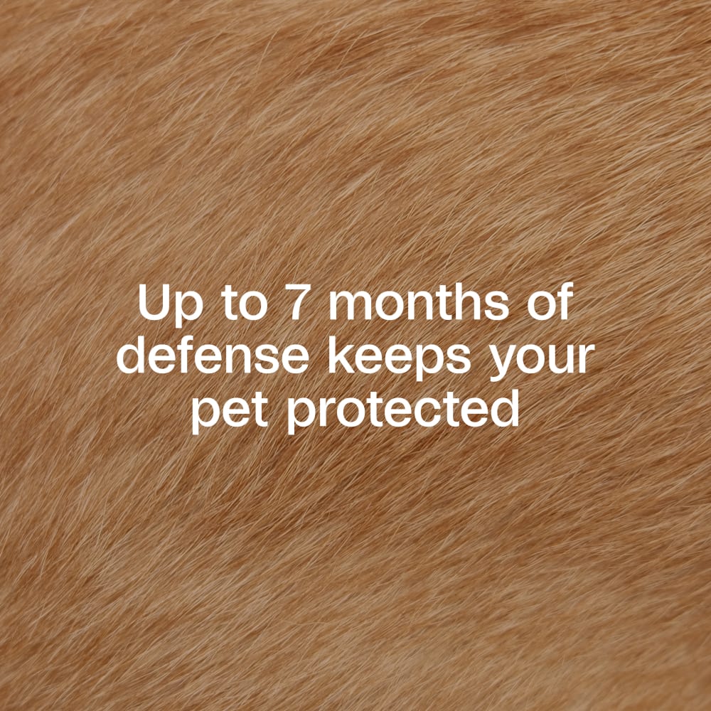 Adams Plus Flea & Tick Collar for Small Dogs & Puppies 7 Month Protection 3PK