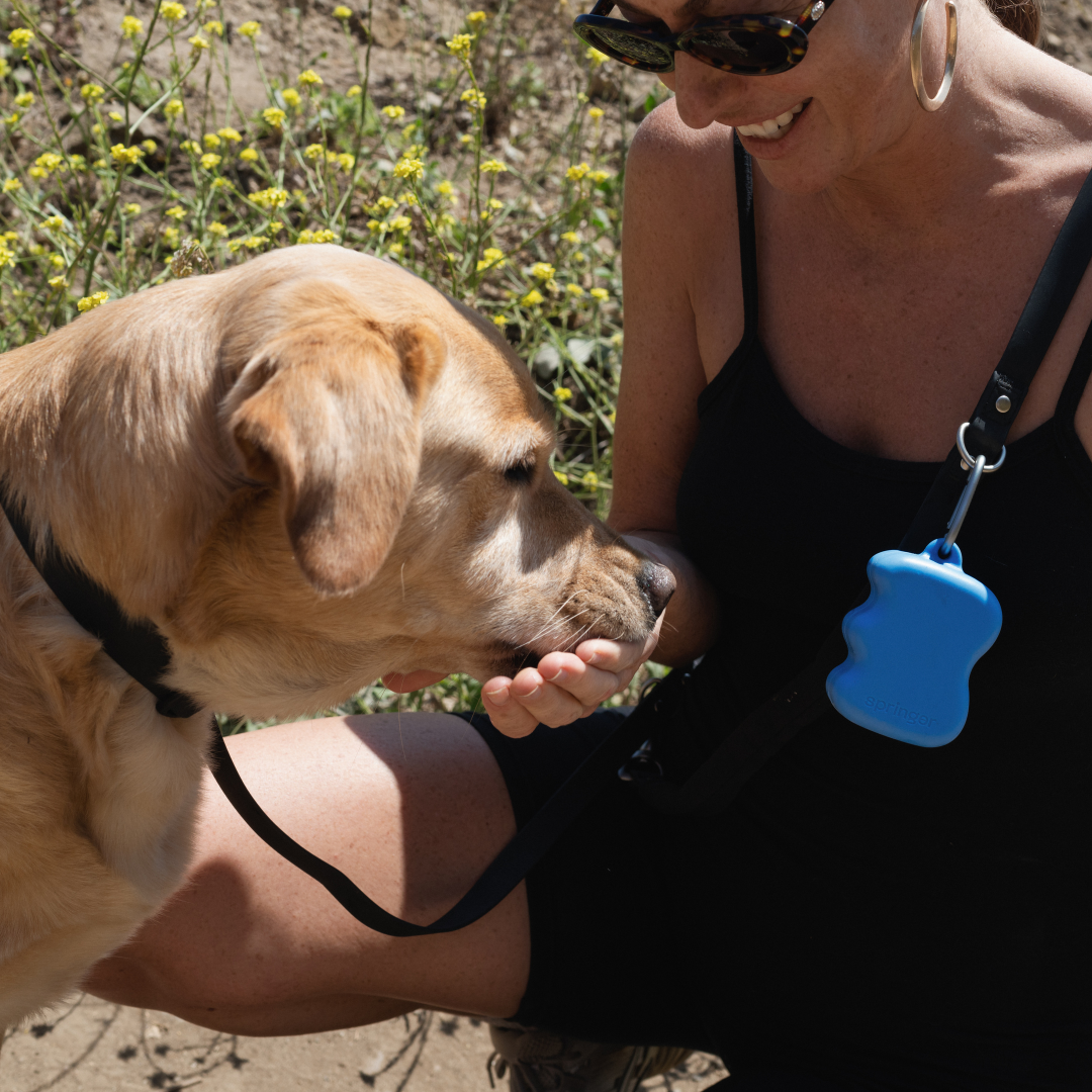 Silicone Dog Treat Dispenser - BIG FRENCHIES