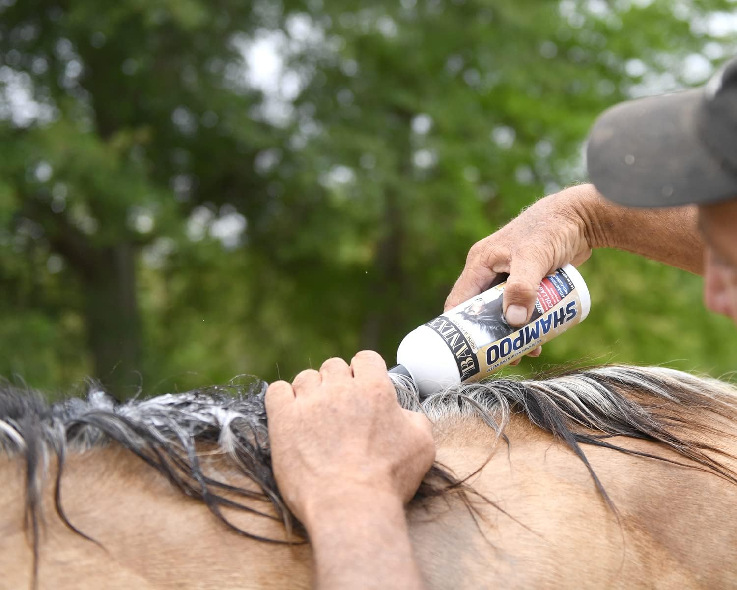 Banixx Shampoo & Spray 16 oz – Horse & Dog Skin & Coat Care Bundle