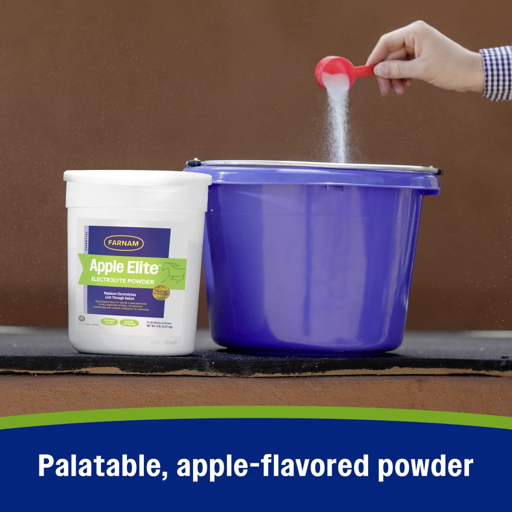 Farnam Apple Elite Electrolyte Powder for Horses Hydration Support Apple Flavor 5lb.