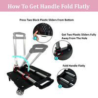 Mr. Peanut's Pet Carrier/Luggage Bag Spinner Wheelbase Luggage Cart - BIG FRENCHIES