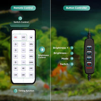 LED Aquarium Light, Planted Tank Light 4 Channels Remote Control - BIG FRENCHIES